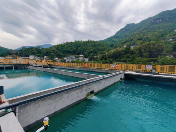 引江補(bǔ)漢:踐行“兩山”理念 繪就生態(tài)畫卷447.png
